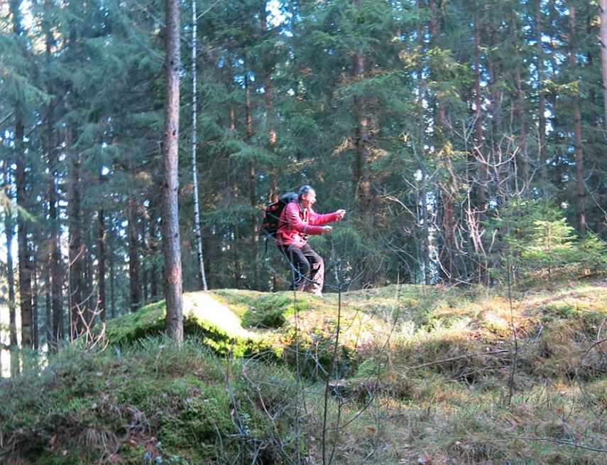 Waldviertel